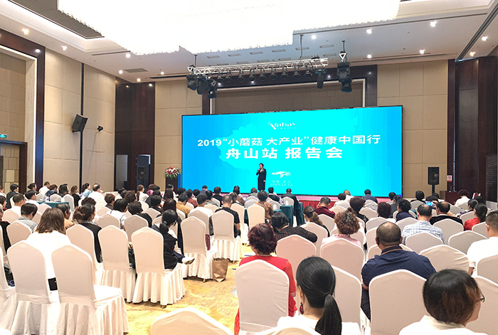 專(zhuān)題報(bào)道