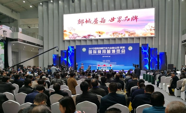 點(diǎn)擊打開原圖 QQ截圖20170410090014