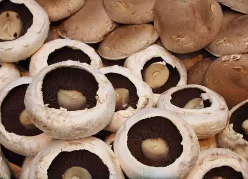 圖片關鍵詞 http://www.guangjim.com/ewebeditor/uploadfile/20170914091257506001.png