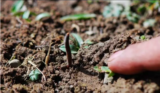 圖片關鍵詞 http://www.guangjim.com/ewebeditor/uploadfile/20180814102741148001.png