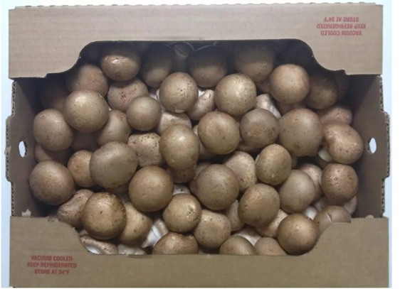 圖片關鍵詞 圖片關鍵詞