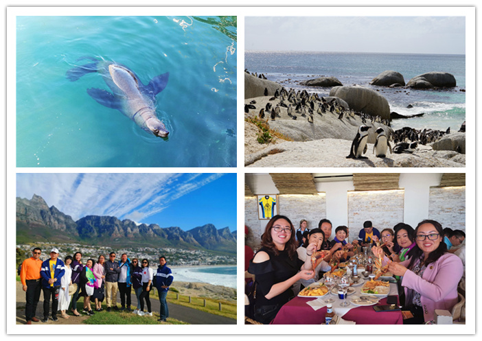 圖片關(guān)鍵詞 圖片關(guān)鍵詞