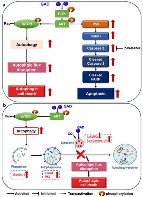 圖片關(guān)鍵詞 https://mmbiz.qpic.cn/mmbiz_png/tViaTicjwibVZnnuxTI0eMzfuPJd8DTSZHDfTHqrXYKnAEzzYzSVwZXULk6eB6iaUaTibRzELT02Ona6ukicHIpbgiczQ/640?wx_fmt=png