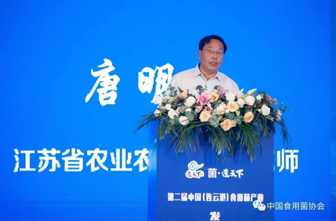 圖片關鍵詞 https://mmbiz.qpic.cn/mmbiz_jpg/qmUUOFzKOyRYEBXKnSHMvP5v7LsM30EkJYouYGL2RKzQ0ib66eIKJATgU1emX7l1FjFgXZO4LLv9yTqApYGsiaLQ/640?wx_fmt=jpeg