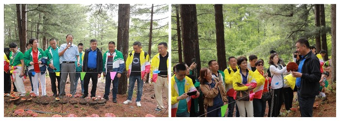 圖片關鍵詞 圖片關鍵詞