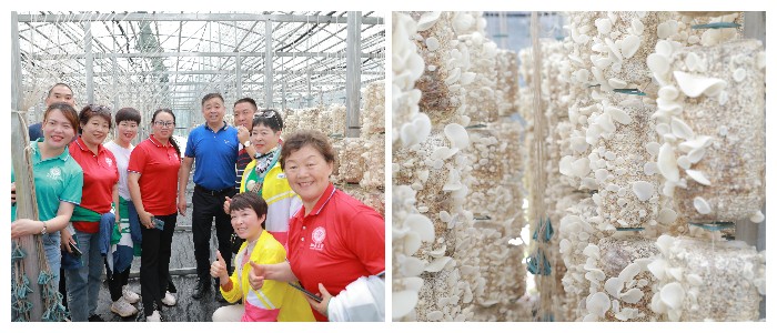 圖片關鍵詞 圖片關鍵詞