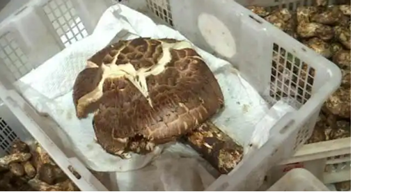 圖片關(guān)鍵詞 圖片關(guān)鍵詞