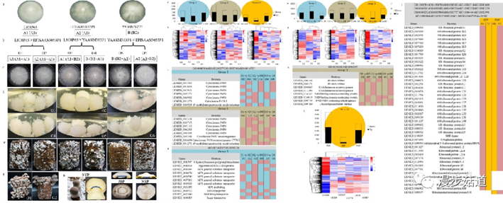 圖片關鍵詞 圖片關鍵詞